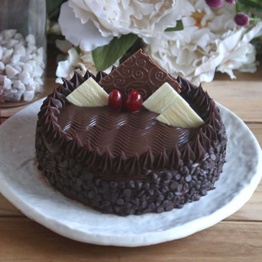 Walnut Chocolate Truffle Cake-sgquangbinhtourist.com.vn