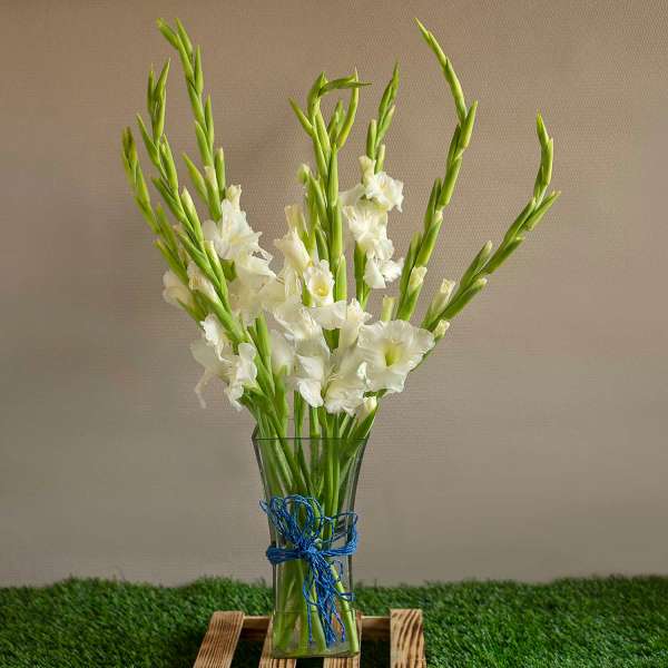 Gladiolus's In A Vase