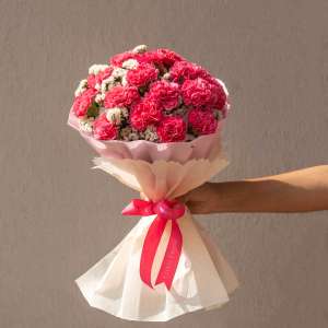 Hand bouquet of 20 pink carnation and statices