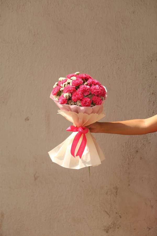 Hand bouquet of 20 pink carnation and statices