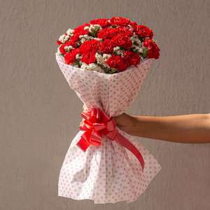 Hand bouquet of 20 red carnation and Statices