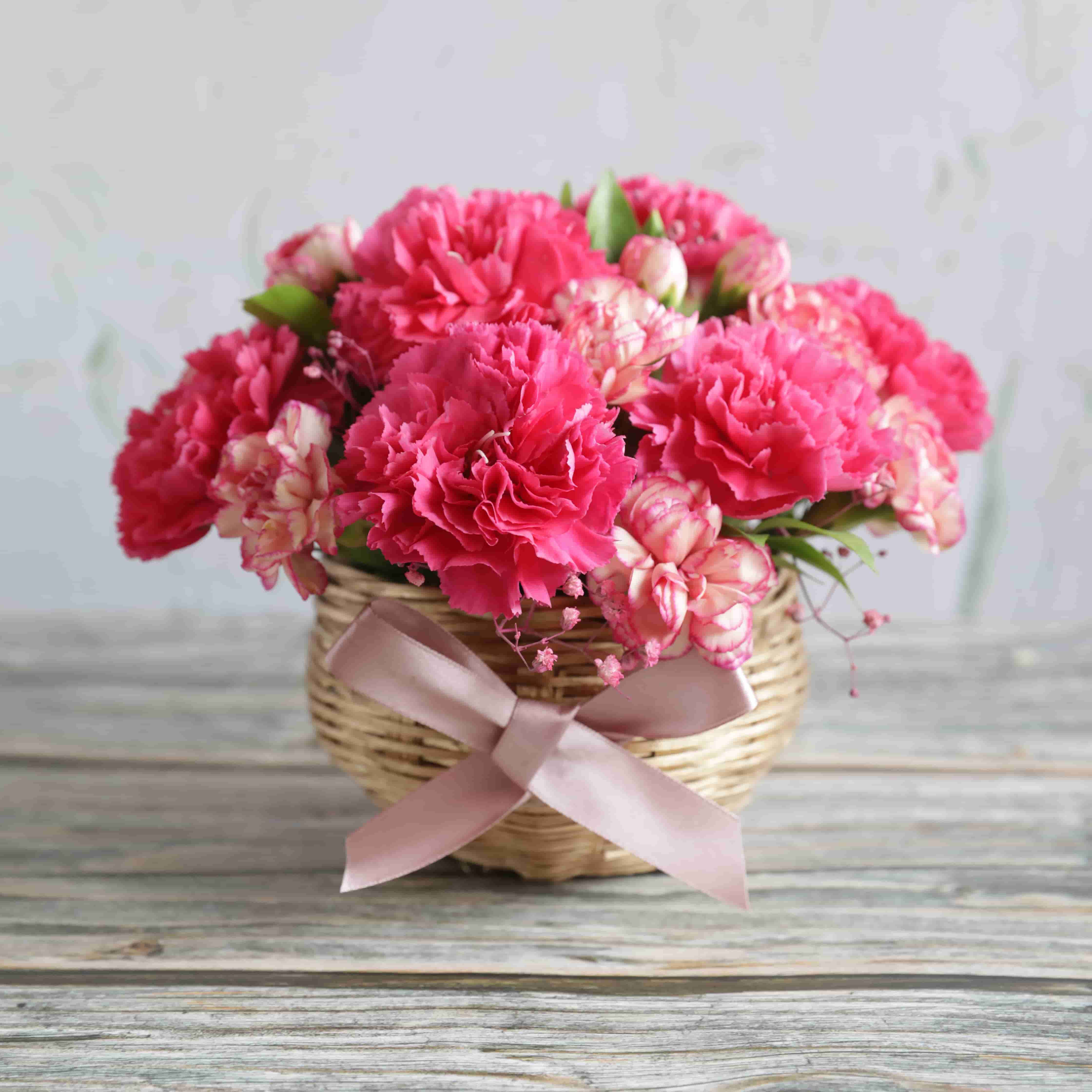 Pink Aura Blooms – Ovenfresh