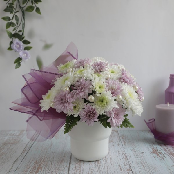 White Chrysanthemum Purple Chrysanthemum White Pearls